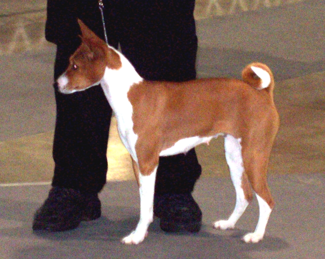 Bremerton Show 2003 Bremerton Show 2003