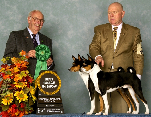 Baraka Basenji Achievements